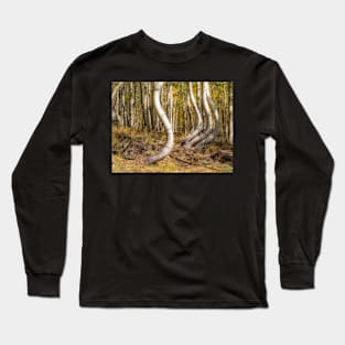 Dancing Aspens Long Sleeve T-Shirt